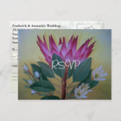 南アフリカの巨人プロテアウェディングRSVP写真 インビテーションポストカード (正面/裏面)