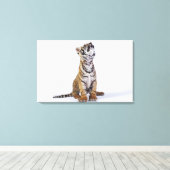 南アフリカの捕虜4 キャンバスプリント (インサイチュ (ウッドフロア))