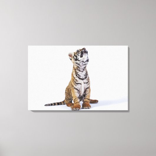 南アフリカの捕虜4 キャンバスプリント (正面)