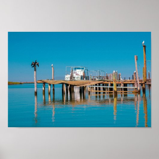 南アフリカの海岸沿いのベルドルフ風景船鳥 ポスター (正面)