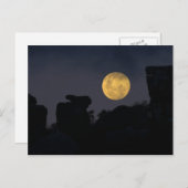 南アフリカの荒野の満月 ポストカード (正面/裏面)