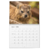 南アフリカの野生生物2025 カレンダー (3月 2026)