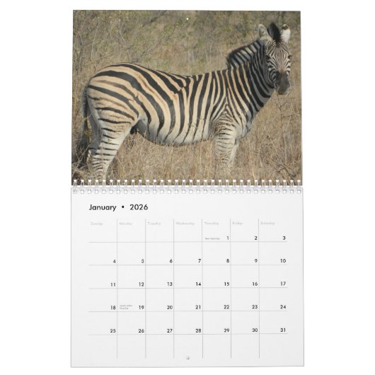 南アフリカの野生生物2025 カレンダー (1月 2026)