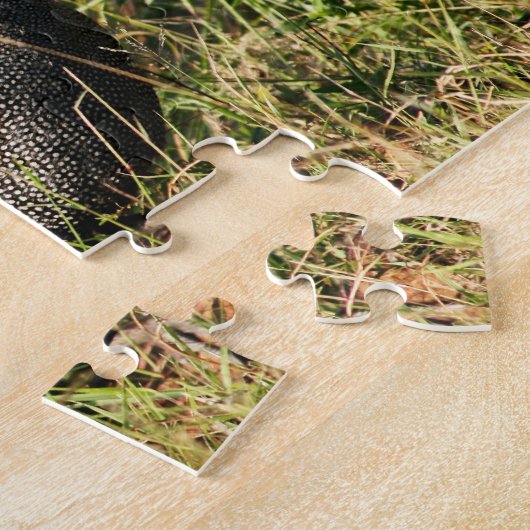 南アフリカのLowveldのホロホロ鳥の鳥の写真 ジグソーパズル (側面)