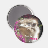 南アフリカダチョウのカスタマイズ可能マグネット マグネット (正面/裏面)