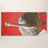 南アフリカダチョウビーチタオル ビーチタオル (正面)