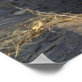 南アフリカハイエナ ポスター (角)