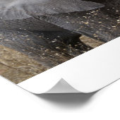 南アフリカベビーゾウ ポスター (角)