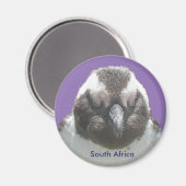 南アフリカペンギン顔カスタマイズ可能マグネット マグネット (正面/裏面)