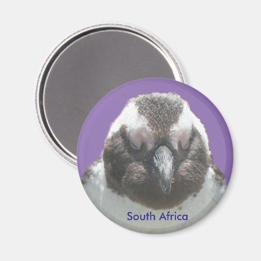 南アフリカペンギン顔カスタマイズ可能マグネット マグネット (正面/裏面)