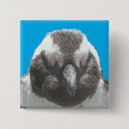 南アフリカペンギン顔ボタン 缶バッジ