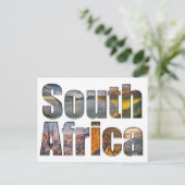 南アフリカヴィンテージゼブラ旅行はがき ポストカード (スタンド正面)