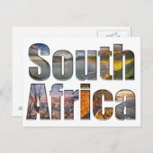 南アフリカヴィンテージゼブラ旅行はがき ポストカード (正面/裏面)