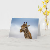 南アフリカ共和国からのキリン カード (黄色い花)