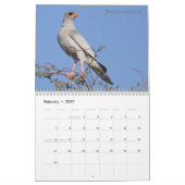 南アフリカ共和国のカレンダーの鳥 カレンダー (2月 2027)