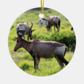 南アフリカ共和国のサファリのアフリカのカモシカ セラミックオーナメント (正面)