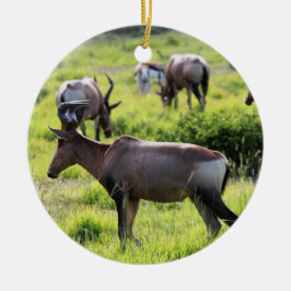 南アフリカ共和国のサファリのアフリカのカモシカ セラミックオーナメント