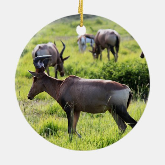 南アフリカ共和国のサファリのアフリカのカモシカ セラミックオーナメント (裏面)