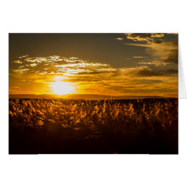 南アフリカ共和国の日没