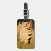 南アフリカ共和国の母および子牛の白いサイ ラゲッジタグ (正面縦)