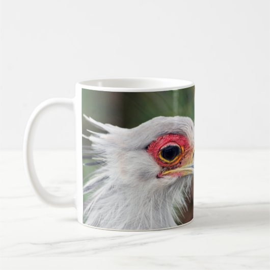 南アフリカ共和国の鳥の秘書の写真 コーヒーマグカップ (左)