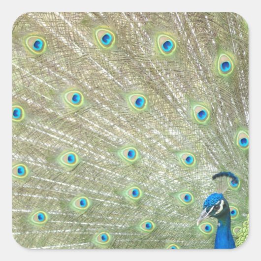 南アフリカ共和国ゴーテン州ヨハネスブルグ動物園 スクエアシール (正面)