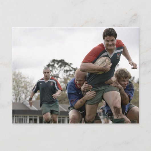 南アフリカ共和国、ケープタウンの偽湾のラグビークラブ ポストカード (正面)