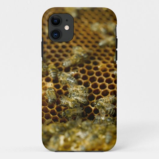 南アフリカ共和国 西ケープ州の巣箱の中のミツバチ Case-Mate iPhoneケース (裏面)