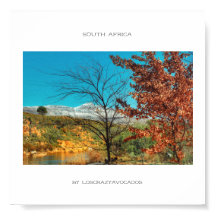 南アフリカ冬秋風雪ポスター