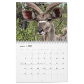 南アフリカ動物 カレンダー (3月 2027)