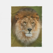 南アフリカ威厳のあるライオン フリースブランケット (正面)