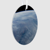 南アフリカ熱帯地方で煙が立ち昇る。 オーナメント (正面)