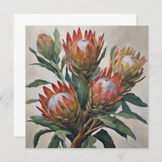 南アフリカ産の美しいプロテアの花 (正面/裏面)