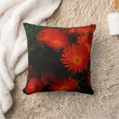 南アフリカ緑のオレンジ色の多肉性の花 クッション (ブランケット)