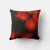 南アフリカ緑のオレンジ色の多肉性の花 クッション (裏面)