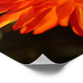 南アフリカ緑のオレンジ色の多肉性の花 ポスター (角)