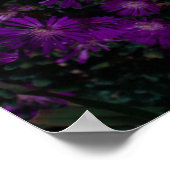 南アフリカ緑紫色の多肉性の花 ポスター (角)