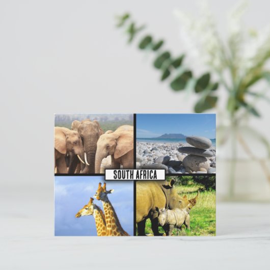 南アフリカ野生動物写真コラージュ ポストカード (スタンド正面)