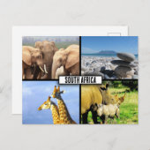 南アフリカ野生動物写真コラージュ ポストカード (正面/裏面)