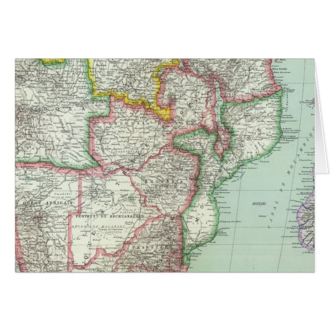 南アフリカ2 (正面横)