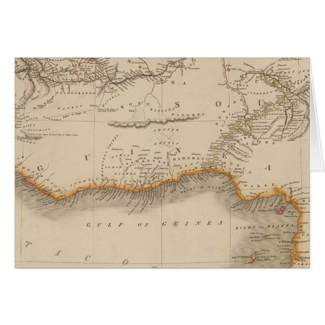 南アフリカ3 (正面横)