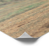 南アフリカ、アドー・エレファント・ナットル公園。ベビー ポスター (角)