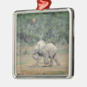 南アフリカ、アドー・エレファント・ナットル公園。ベビー メタルオーナメント (左)
