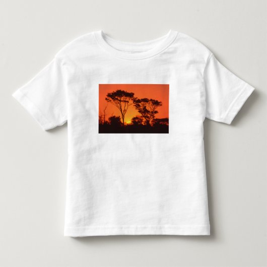 南アフリカ アフリカの夕日 トドラーTシャツ (正面)