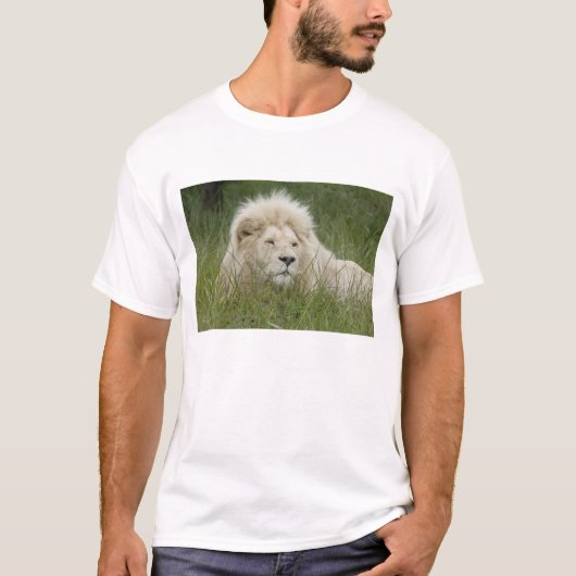 南アフリカ、イースト・ロンドン、Inkwenkwezi Private Tシャツ (正面)
