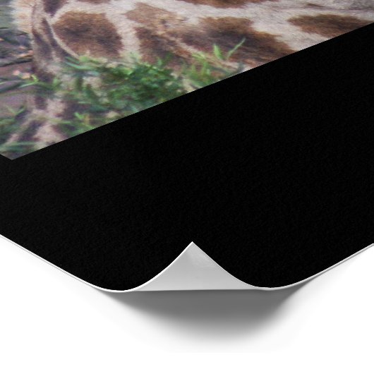 南アフリカ・キリン ポスター (角)