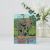 南アフリカ・クルーガー公園 ポストカード (スタンド正面)