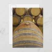 南アフリカ、ケープタウン。ステレンボッシュのワインエリア ポストカード (正面/裏面)