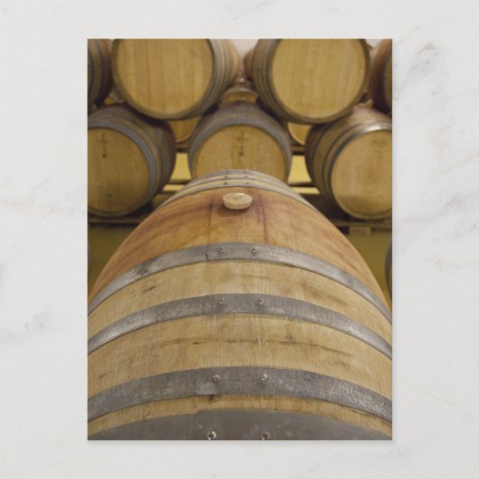 南アフリカ、ケープタウン。ステレンボッシュのワインエリア ポストカード (正面)