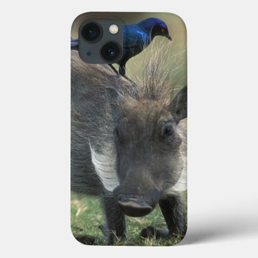 南アフリカ ピラネスバーグGR イボイノシシ Case-Mate iPhoneケース (裏面)